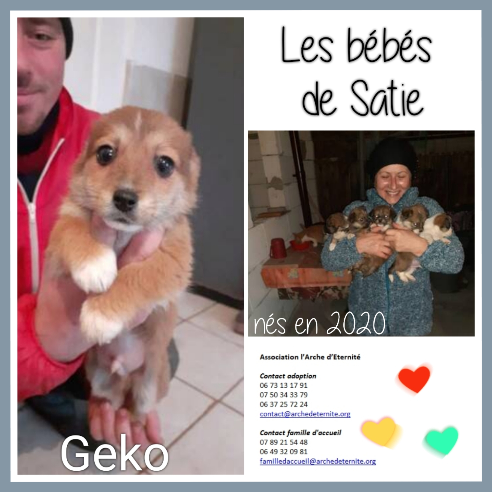 Geko