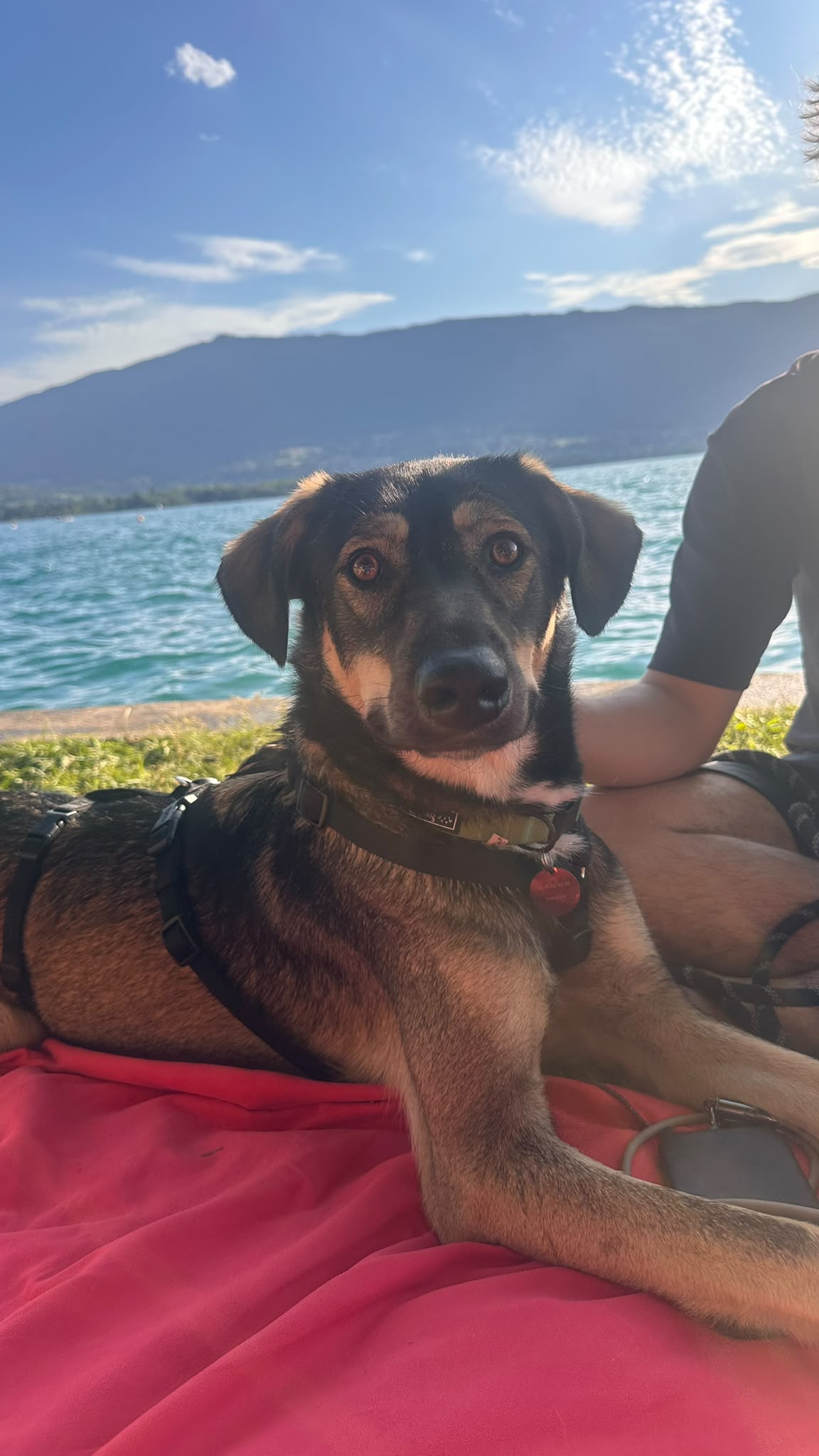 Skye