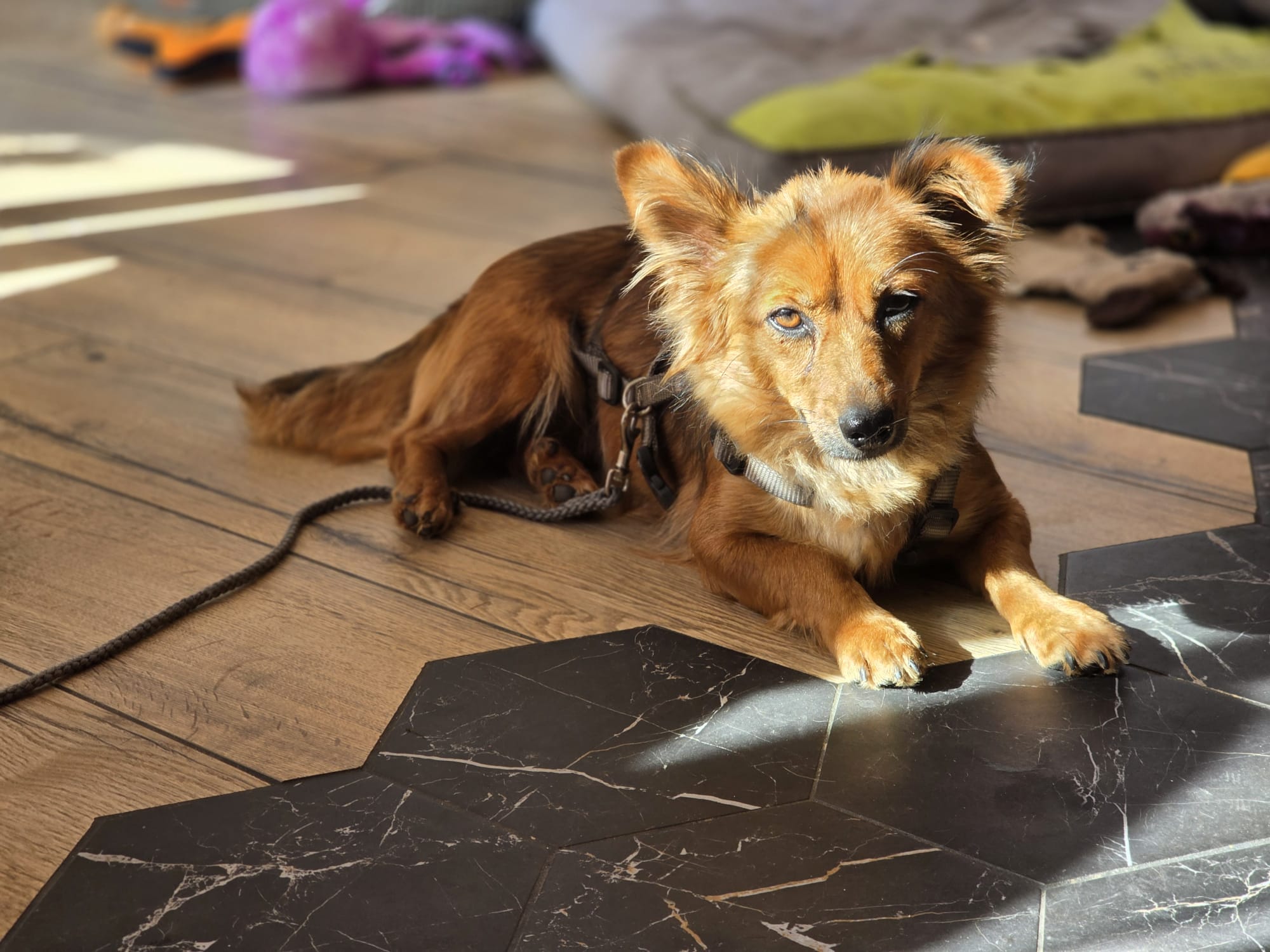 Coco
